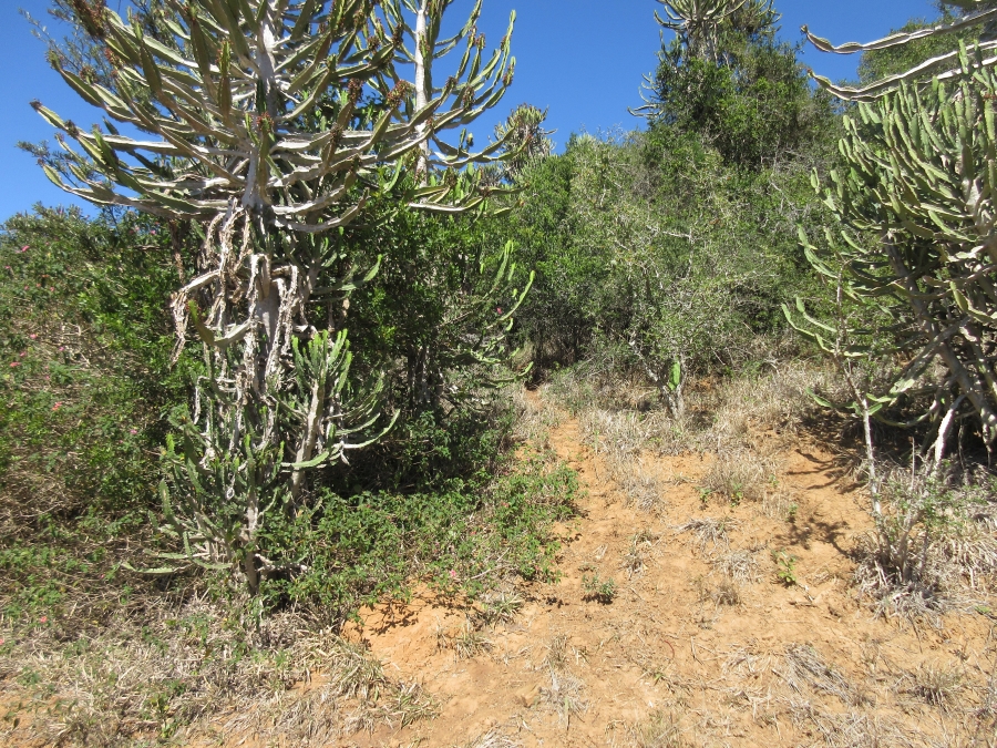0 Bedroom Property for Sale in West Bank Eastern Cape